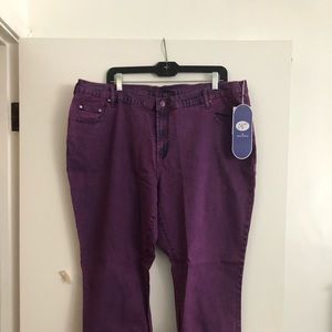 Stylish purple Jeans by Diane Gilman